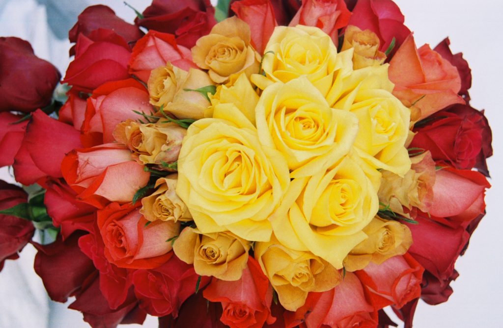 Who We Are Norfolk Wholesale Floral